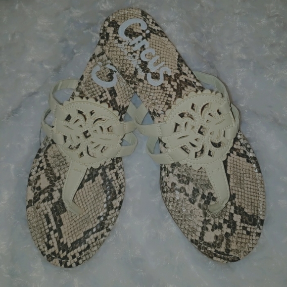 Circus by sam edelman medallion sandals - Picture 2 of 4